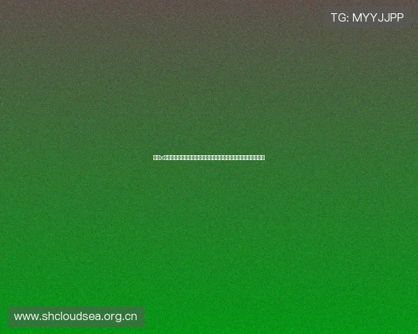 聚焦x软件最新版下载全方位指南解读更新内容与安装要点以及实操技巧